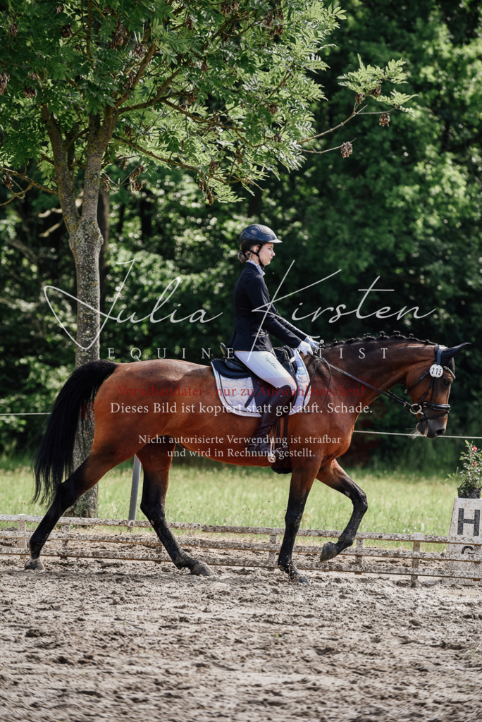 DSC_0420 | Pferde- und Turnierfotografie in Westsachsen. Pferdeportraits, Auftragszeichnungen und intuitive Kunst.