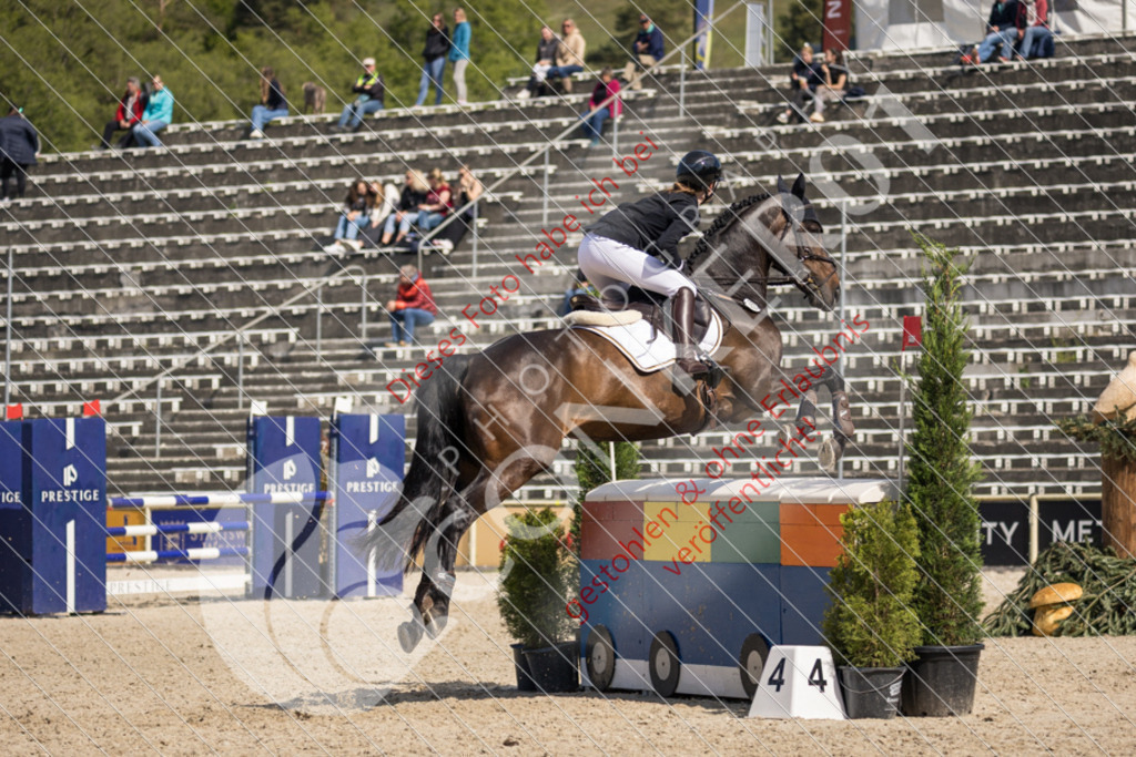 IMG_4290 | Sport-, Event- und Tierfotos in Profiqualität. Einfach auswählen, bestellen und herunterladen. Dein Moment – perfekt festgehalten.