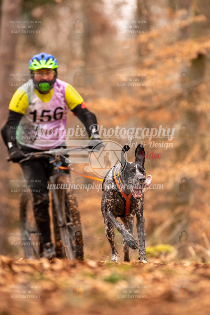 AKM_ST_2023_SAM_Scooter-21 | PayLife