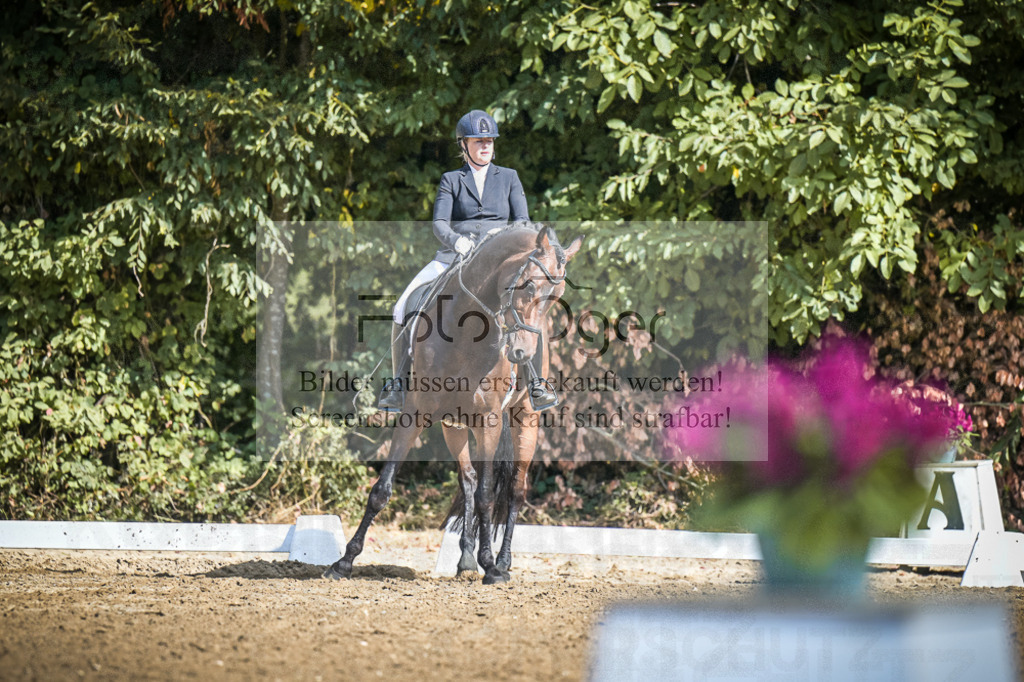 DOS_3998 | Entdecke hochwertige Reitturnierfotos von Foto Oger. Professionell, emotional und authentisch – jetzt Lieblingsmomente im Shop bestellen.Deutschlandweite Turnierfotografie. - Realisiert mit Pictrs.com