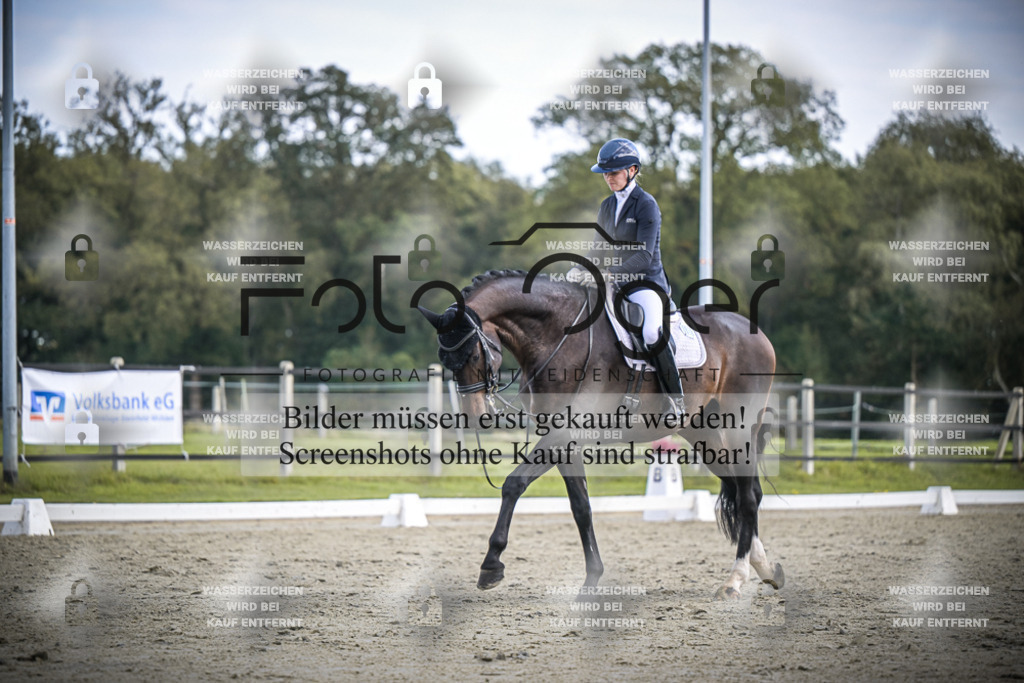 DOS_0191 | Entdecke hochwertige Reitturnierfotos von Foto Oger. Professionell, emotional und authentisch – jetzt Lieblingsmomente im Shop bestellen.Deutschlandweite Turnierfotografie. - Realisiert mit Pictrs.com