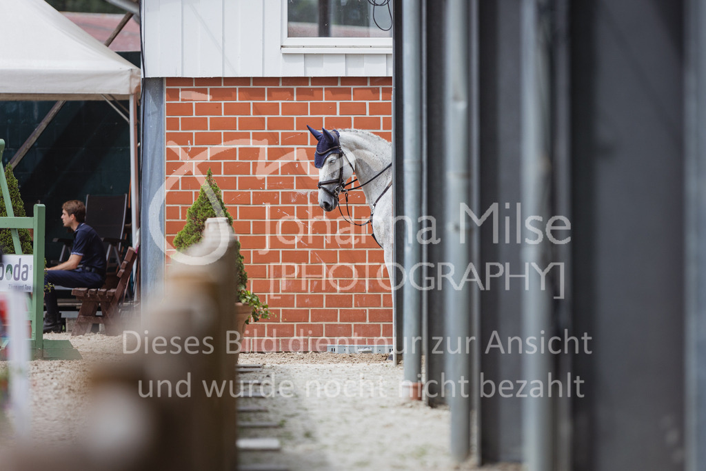 220705_Mühlen_SprPf-A3-349 | Late Entry Mühlen
05.07.2022
03 Springpferde-A**, 4-6jährige Pferde