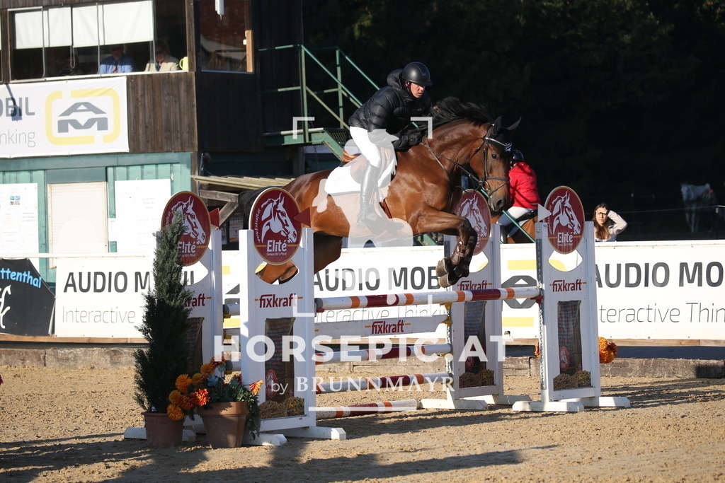 DL2Q0705 | Willkommen bei Brunnmayr - Design & Fotografie – Ihrem Spezialisten für Reitturniere und Pferdeveranstaltungen in Oberösterreich, Salzburg und Bayern! Seit über 17 Jahren sind wir leidenschaftlich dabei.