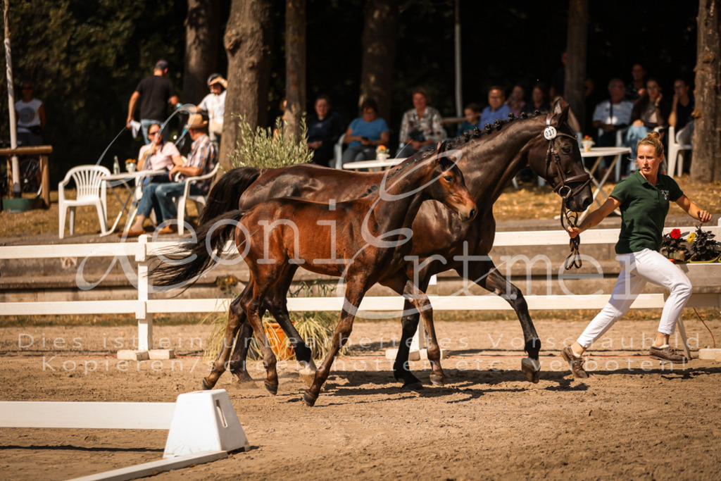 07.DoWBS00050 | Leoni Ertmer Photography - Realisiert mit Pictrs.com