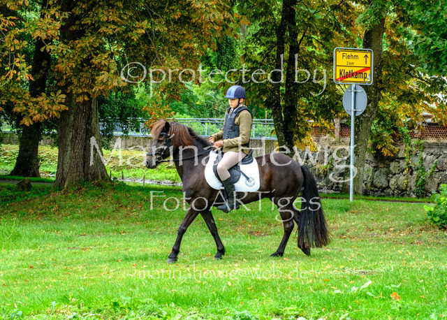 Jagd Kletkamp 26-9451_MarinaHewig | Fotografie, FotoArt, PferdesportArt, Pferdesportfotografie, Landschaftsfotografie, Reisefotografie, Reise, Pferde - Realisiert mit Pictrs.com
