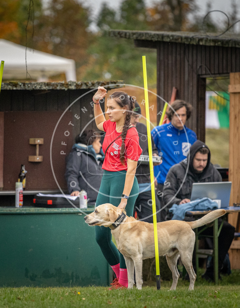 Pfotenfotografie_DV3A0288 | Hundefotografie, Tierfotograf, Pfotenfotografie, Fotoshooting Hund, Hunde Portrait, Hundesport, Hundeportraits, Heideshooting, Hunde, Sportfotograf, Hundefotograf, Turnierhundsport, THS,  - Realisiert mit Pictrs.com