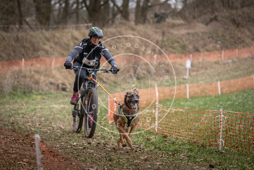 Pfotenfotografie_DV3A6260 | Hundefotografie, Tierfotograf, Pfotenfotografie, Fotoshooting Hund, Hunde Portrait, Hundesport, Hundeportraits, Heideshooting, Hunde, Sportfotograf, Hundefotograf, Turnierhundsport, THS,  - Realisiert mit Pictrs.com