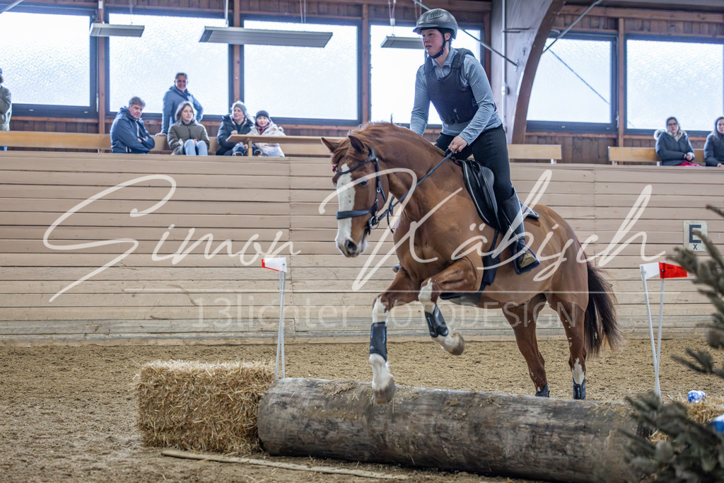 20260221-_3LI9976 | Tierfotografie Pferde, Hunde, Katzen, Haustiere.
Turnierfotografie Reitturniere, Reiten, Springreiten, Dressur in Hanau, dem Main-Kinzig-Kreis und dem Rhein-Main- Gebiet um Frankfurt