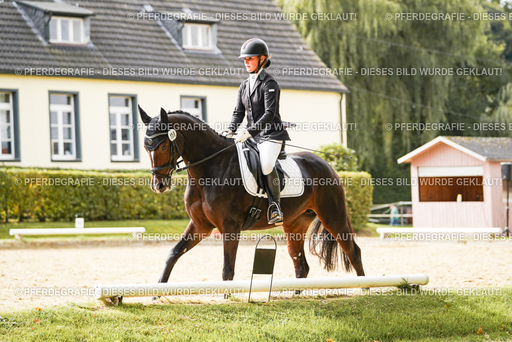 DSC00961 | Pferdegrafie