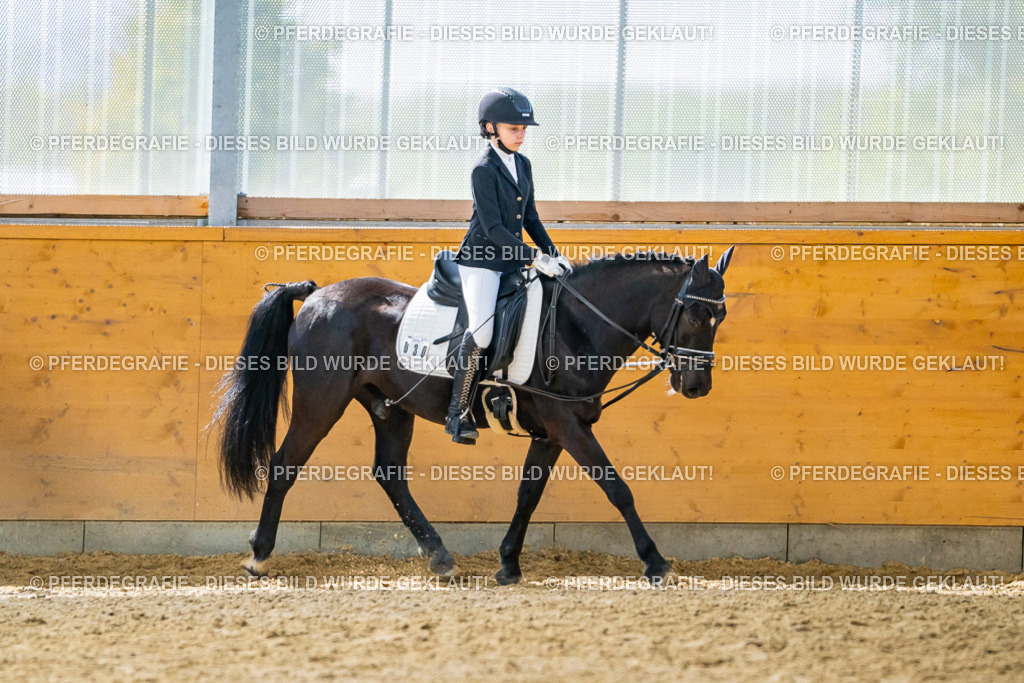 DSC00933 | Pferdegrafie