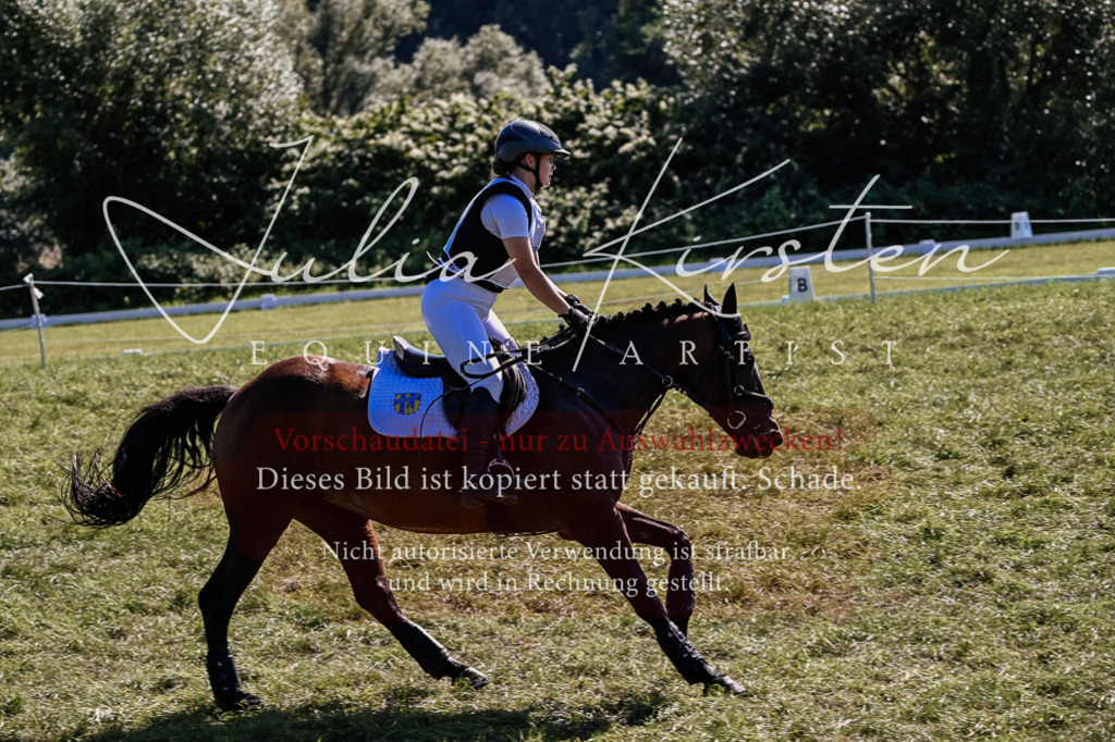 DSC_1529 | Pferde- und Turnierfotografie in Westsachsen. Pferdeportraits, Auftragszeichnungen und intuitive Kunst.