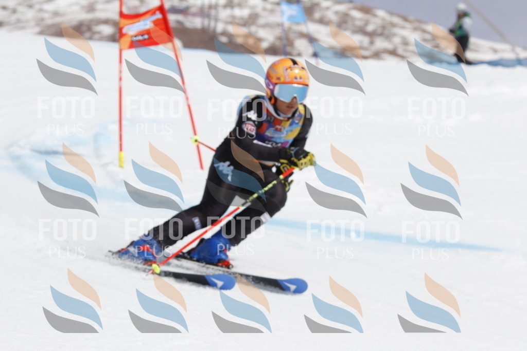 _U3G1838 | holidayphoto