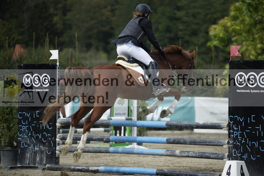 _DSC4329 | equestrian-live-com