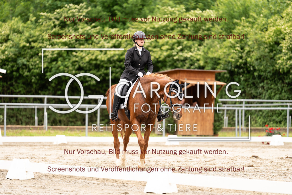 DSC01814 | Turnierfotografin Carolin Gieschke, Turnierfotografie Carolin G Fotografie, Turnierfotos Kirchheim/Teck, Esslingen, Stuttgart, Bodenseekreis