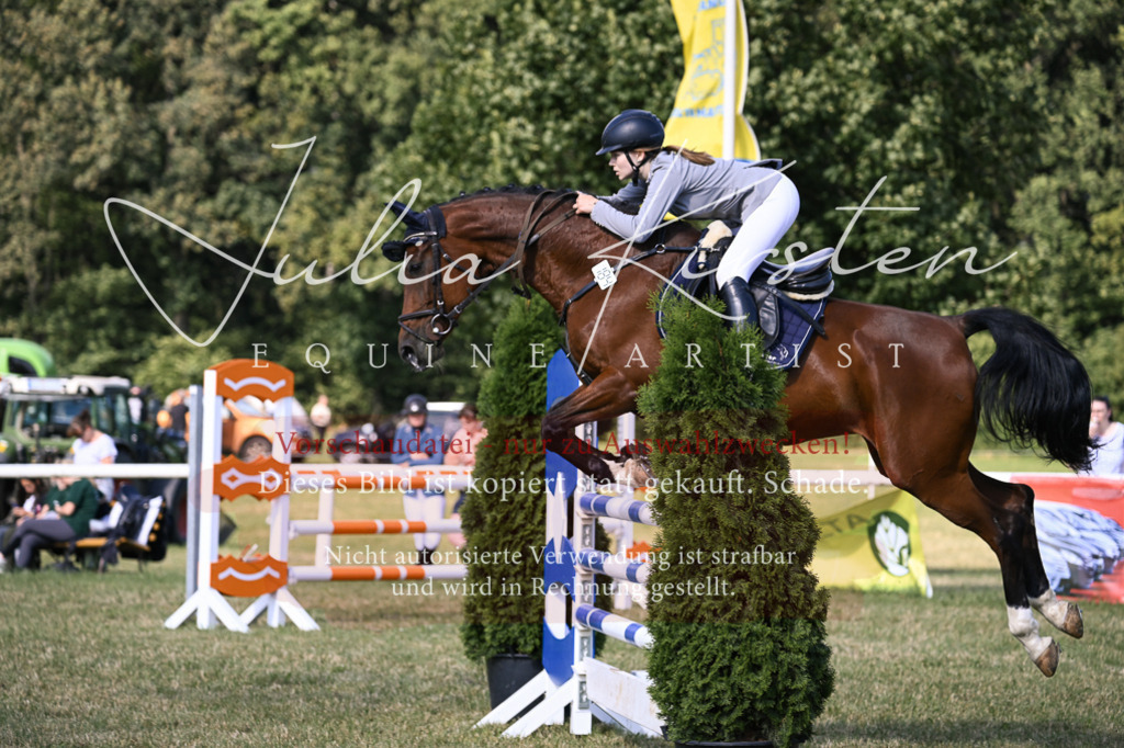 DSC_1354 | Pferde- und Turnierfotografie in Westsachsen. Pferdeportraits, Auftragszeichnungen und intuitive Kunst.