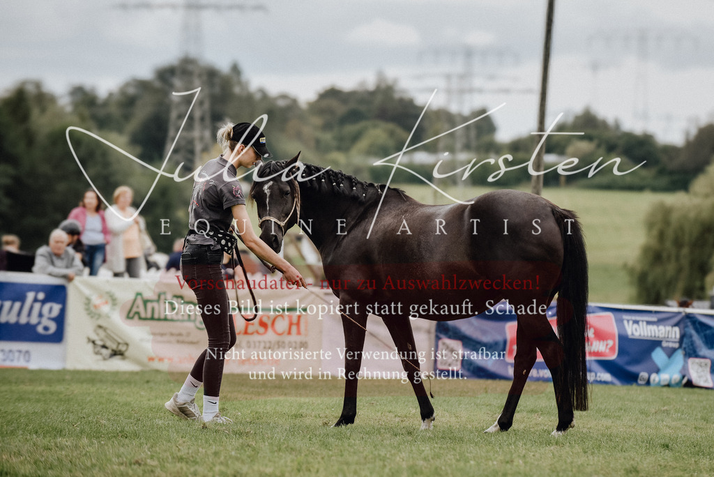 DSC_3949 | Pferde- und Turnierfotografie in Westsachsen. Pferdeportraits, Auftragszeichnungen und intuitive Kunst.