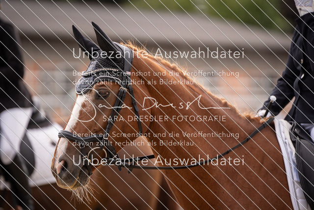 SD_OED_07491 | saradresslerfotografie - Realisiert mit Pictrs.com