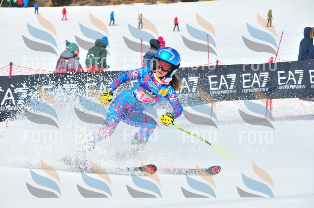 DSC_5042 | holidayphoto