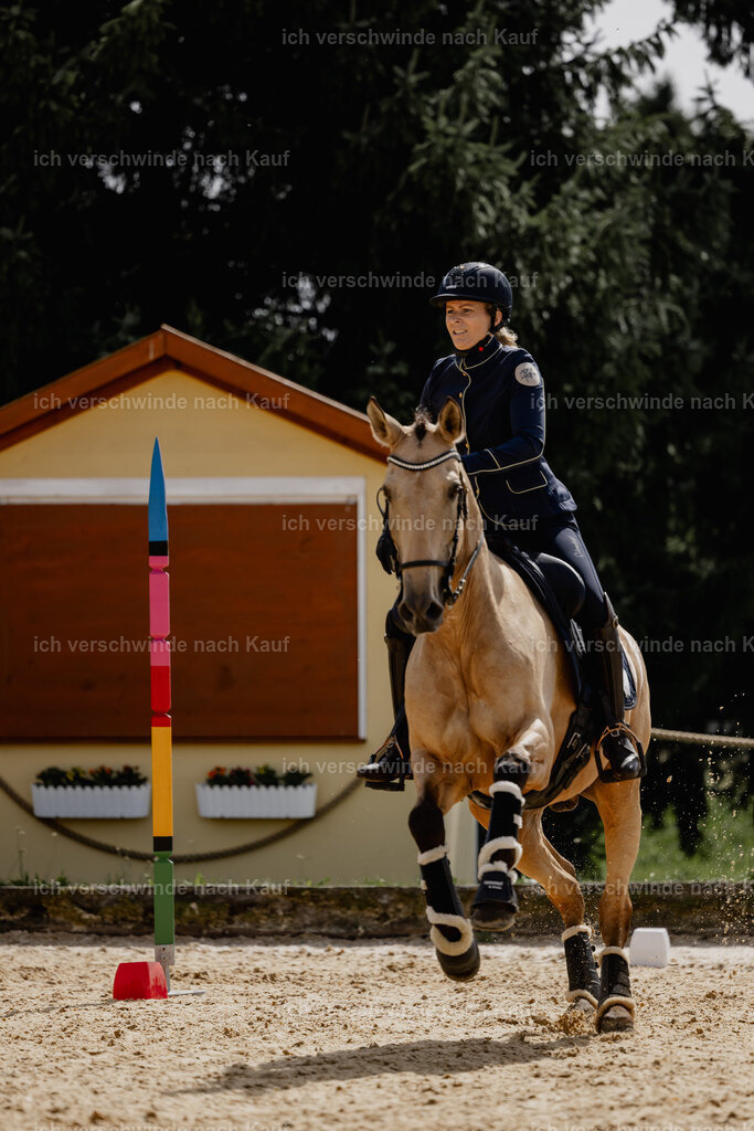 Diana11_FHC2025-20601 | working equitationturnier fotograf videograf stoibphotography marixx film working equitation deutschland reitsport turnierfotografie eventfotografie equestrian events
