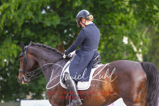 DKP41445 | Turniersportfotografie; Pferdefotografie; Dressurfotografie