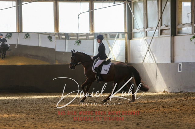 IMG_2553 | Turniersportfotografie; Pferdefotografie; Dressurfotografie