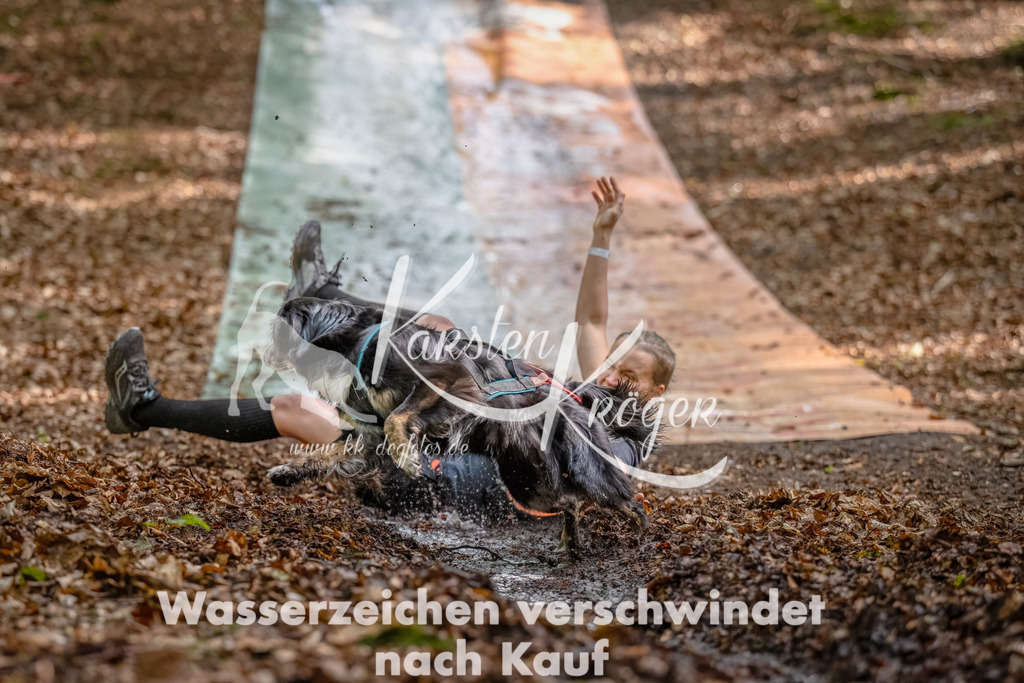 1140_ZZ92017-Bearbeitet | kk-dogfotos