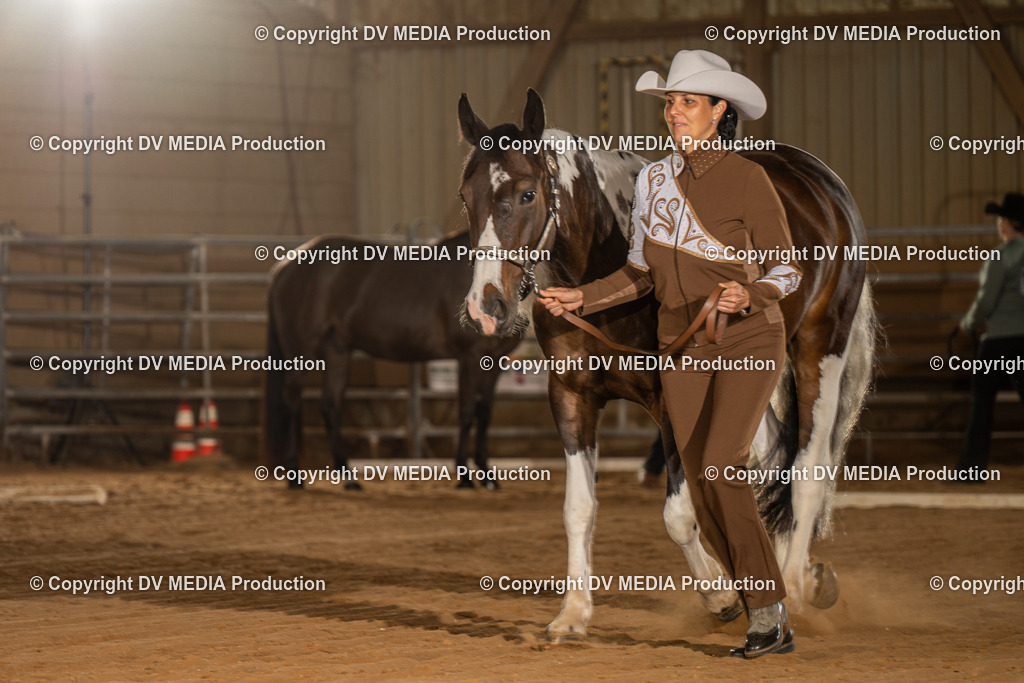 NID02441 | dv-media-shop - Realisiert mit Pictrs.com