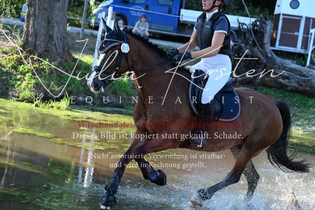DSC_9109 | Pferde- und Turnierfotografie in Westsachsen. Pferdeportraits, Auftragszeichnungen und intuitive Kunst.