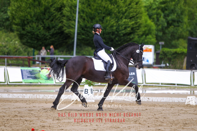 DKP40838 | Turniersportfotografie; Pferdefotografie; Dressurfotografie