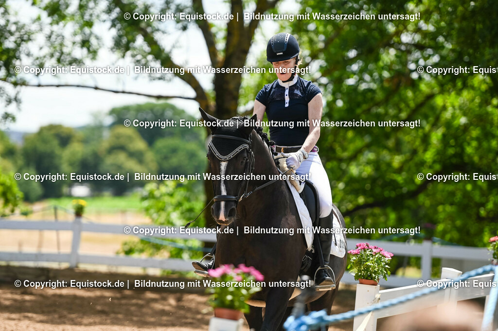 20230716_03_Dressurprfg. Kl.L - Tr._0157 | equistock