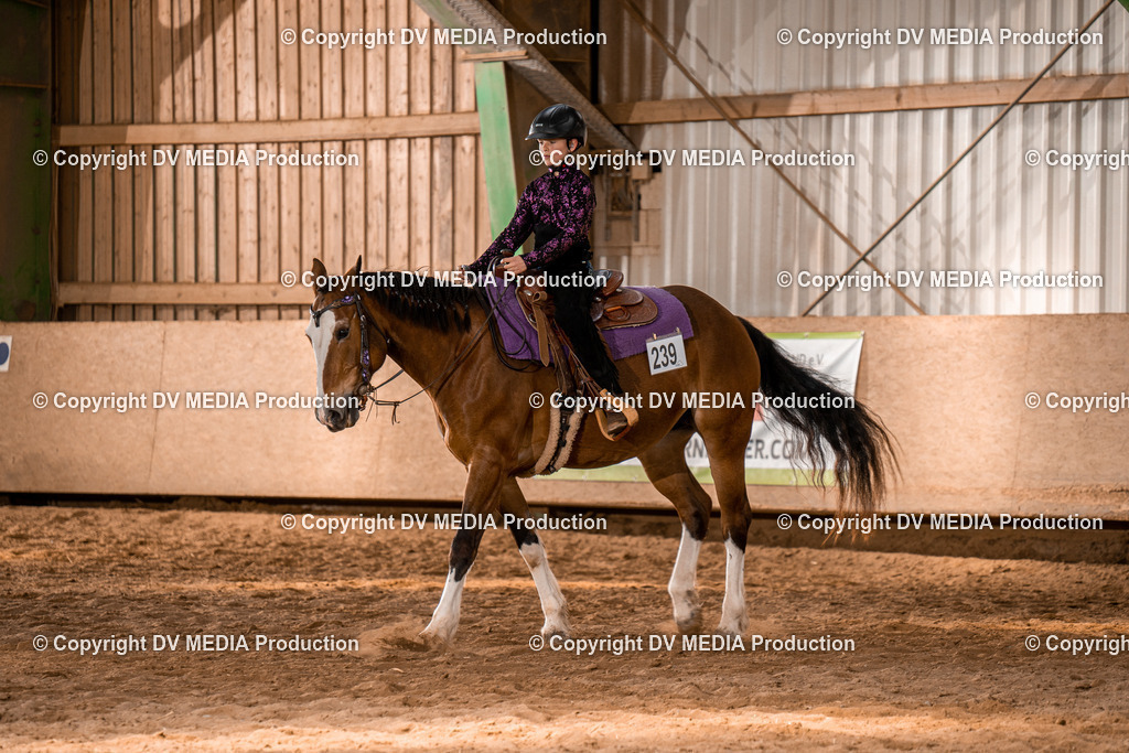 BAL02256 | dv-media-shop - Realisiert mit Pictrs.com