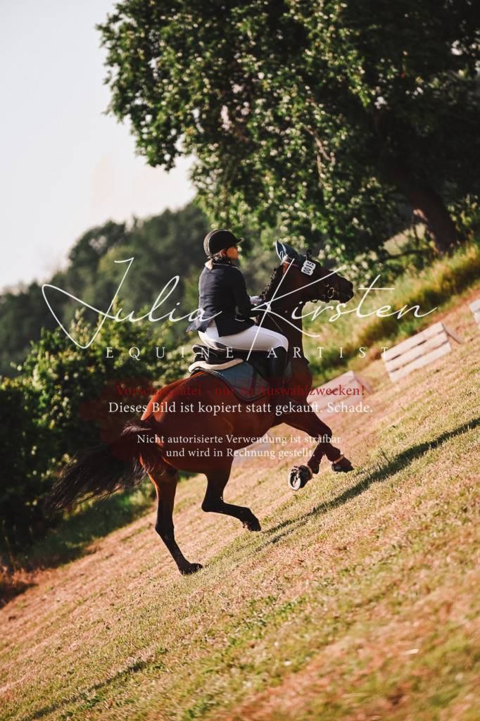 DSC_7374 | Pferde- und Turnierfotografie in Westsachsen. Pferdeportraits, Auftragszeichnungen und intuitive Kunst.
