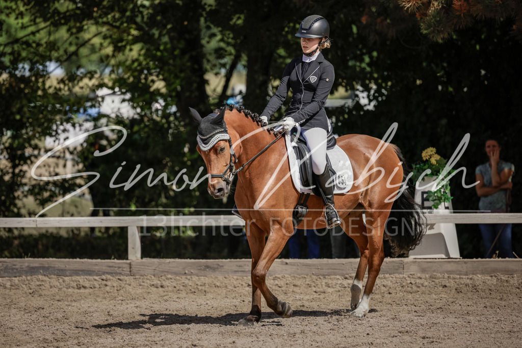 20250906-_3LI5241 | Tierfotografie Pferde, Hunde, Katzen, Haustiere.
Turnierfotografie Reitturniere, Reiten, Springreiten, Dressur in Hanau, dem Main-Kinzig-Kreis und dem Rhein-Main- Gebiet um Frankfurt