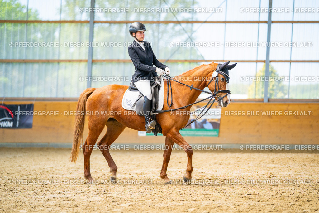 DSC08507 | Pferdegrafie