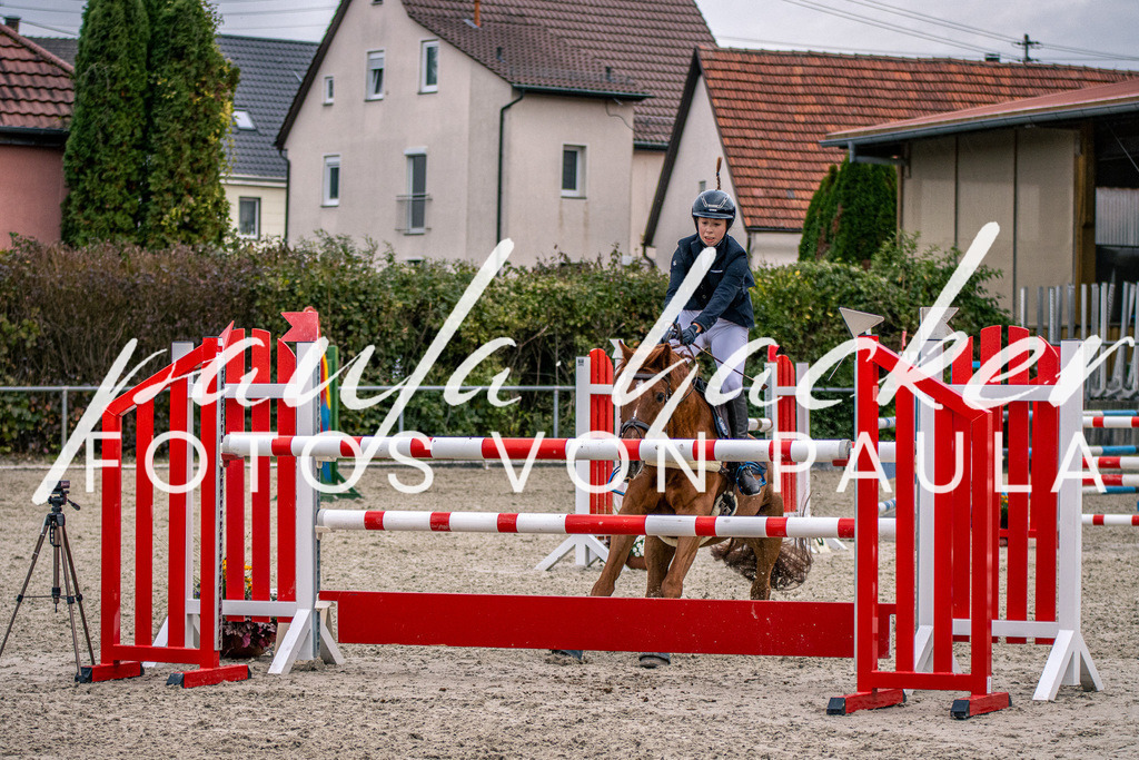 IMG_6089 | Erleben Sie dynamische Sport- und emotionale Tierfotografie in Süddeutschland mit Fotos von Paula. Spezialisiert auf Pferde- und Hundefotografie sowie Sportevents. Kontaktieren Sie mich für einzigartige und ausdrucksstarke Bilder Ihrer besonderen Momente. - Realisiert mit Pictrs.com