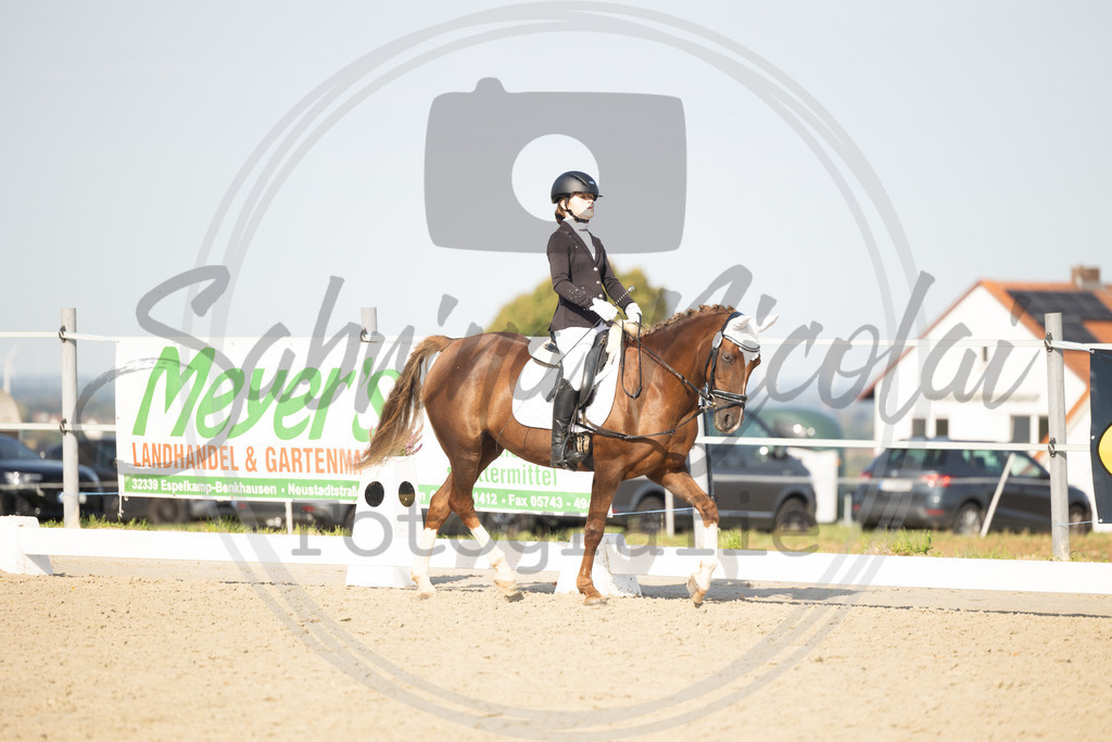 994A1599 | sabrinanicolaifotografie - Realisiert mit Pictrs.com