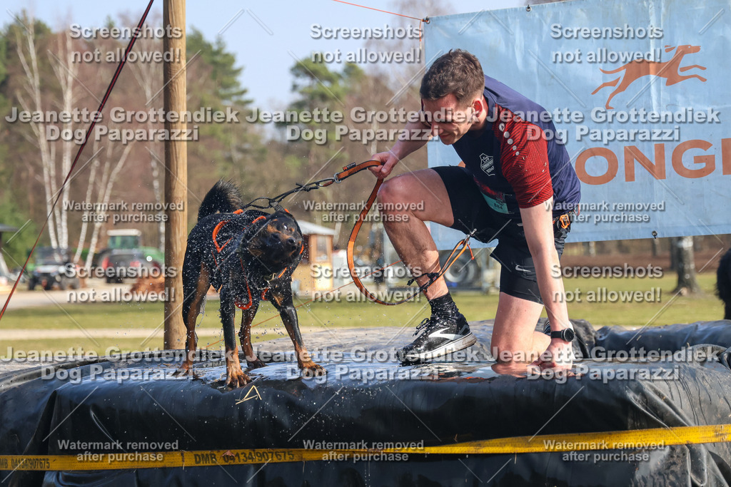 Dog Paparazzi - Strongdog North Mrz26-2133 | Dog Paparazzi Jeanette Grottendiek Fotografie & Videografie - Realisiert mit Pictrs.com