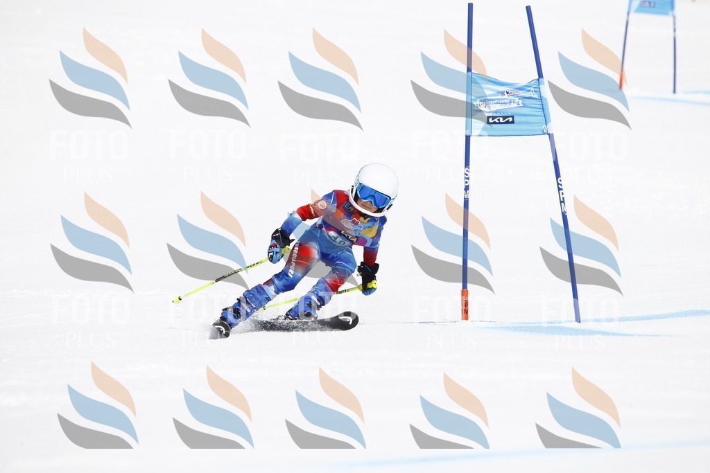 _U3G4753 | holidayphoto