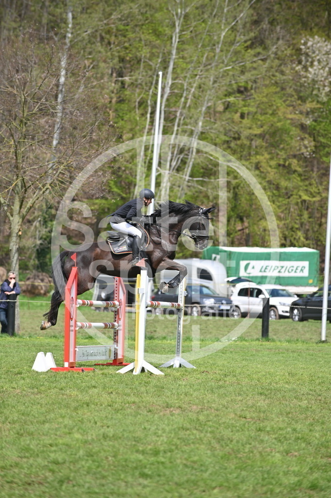 DSC_2436 | sattelsport - Realisiert mit Pictrs.com