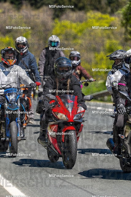 MSFotoServiceXXX189 | MSFotoService - Realisiert mit Pictrs.com
