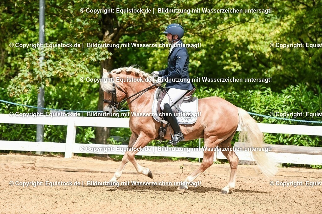20230716_01_Dressurprüfung Kl.M_0157 | equistock