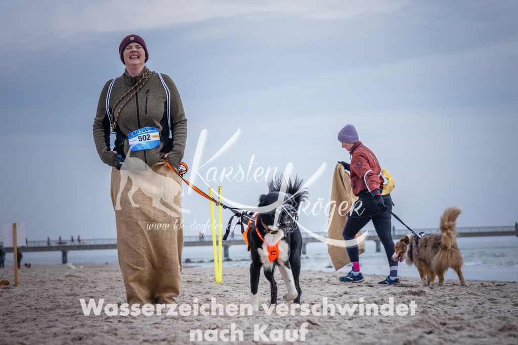 1146_ZZ90641 | kk-dogfotos