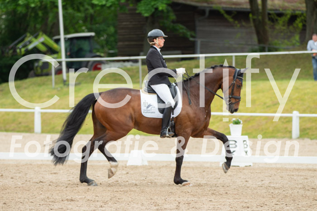 IMG_9732 | Creatify Fotografie