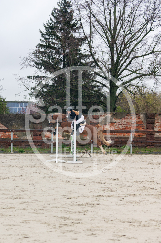 DSC_8313 | sattelsport - Realisiert mit Pictrs.com