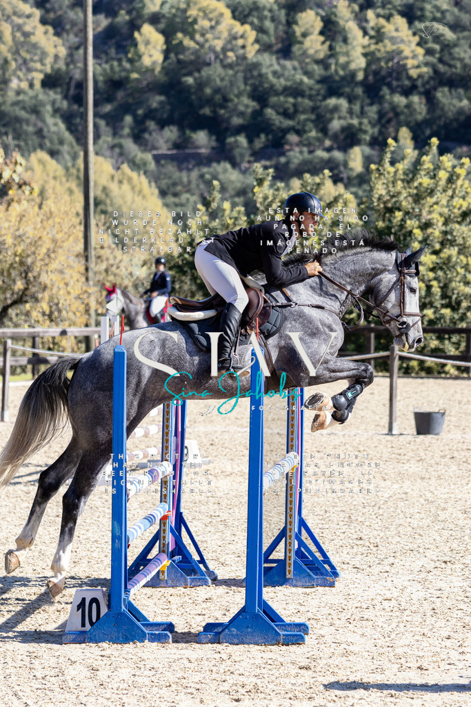 IMG_6566 | s-jay-photography - Realisiert mit Pictrs.com