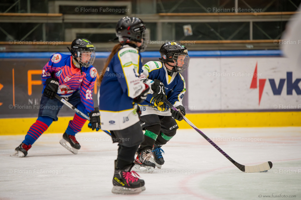 DSC_3761 | "Fussifoto.com – Ihr Ansprechpartner für hochwertige Fotografie! Entdecken Sie kreative Bilder und professionelle Dienstleistungen. Kontaktieren Sie uns für Ihre Projekte!"