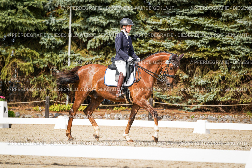 DSC06918 | Pferdegrafie