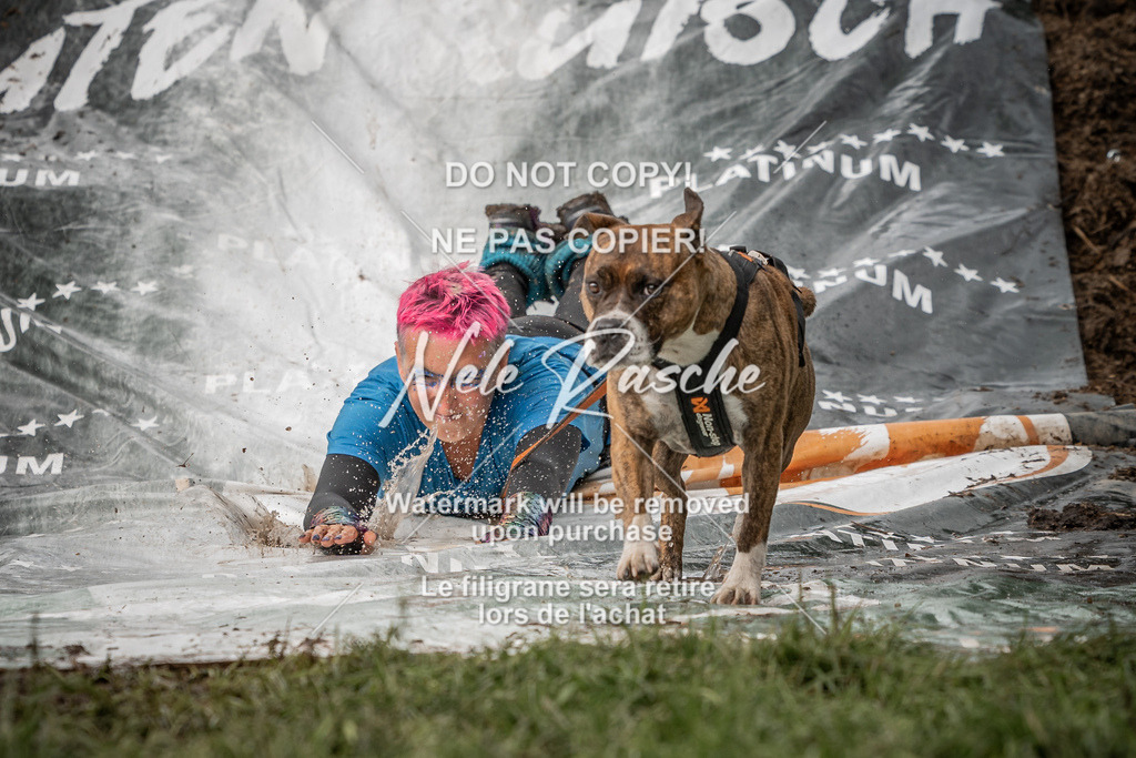 nelerasche_Wingst_Sa1300-1330_52 | nelerasche