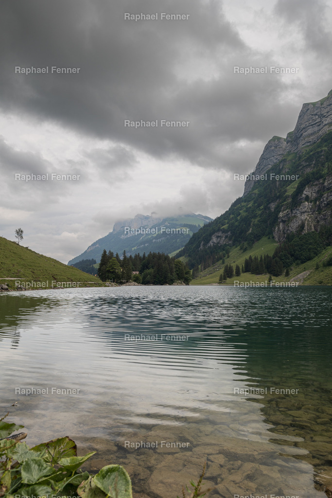 Seealpsee im Kanton Appenzell  | Erlebe eindrucksvolle Landschaftsfotografie aus dem Engadin und darüber hinaus. Raphael Fenner bietet zudem professionelle Fotoaufträge für Hochzeiten, Porträts und Unternehmen. Jetzt entdecken und inspirieren lassen!