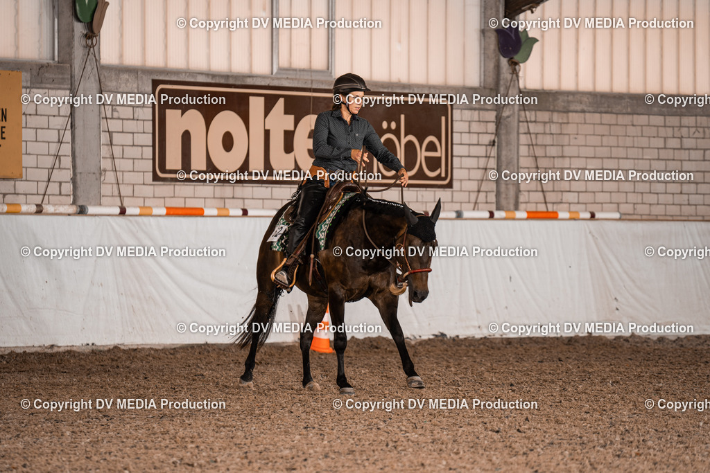 ZH100099 | dv-media-shop - Realisiert mit Pictrs.com